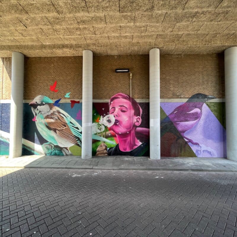 street art den haag karski and beyond
